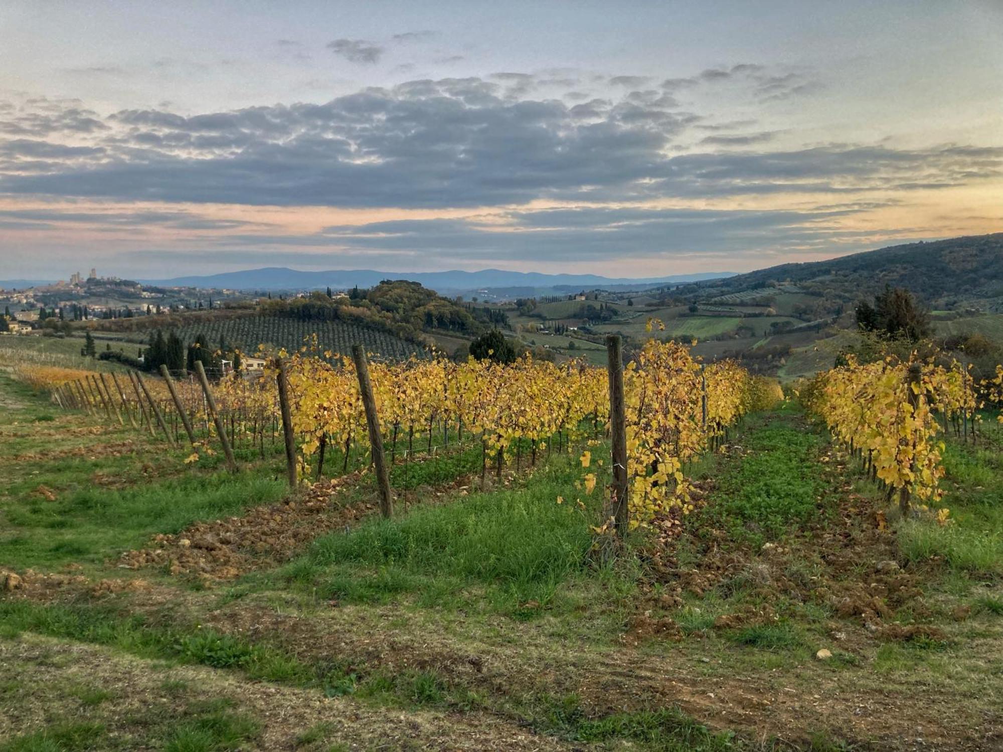 La Casa Rossa Arcola Con Vista Βίλα Εξωτερικό φωτογραφία