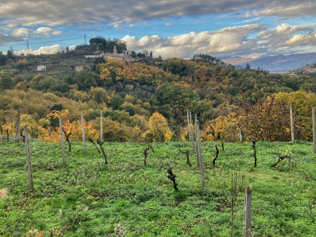 La Casa Rossa Arcola Con Vista Βίλα Εξωτερικό φωτογραφία