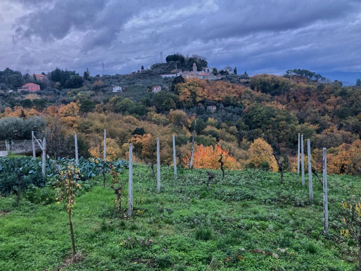 La Casa Rossa Arcola Con Vista Βίλα Εξωτερικό φωτογραφία
